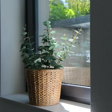 Untergeschoss Mit Stil Modern, Ruhig & Mit Terrasse * Stutensee