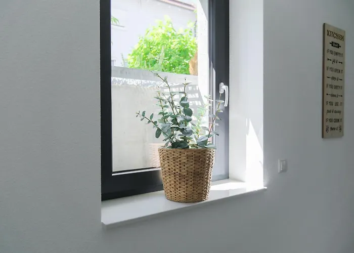 Apartment Untergeschoss Mit Stil Modern, Ruhig & Mit Terrasse