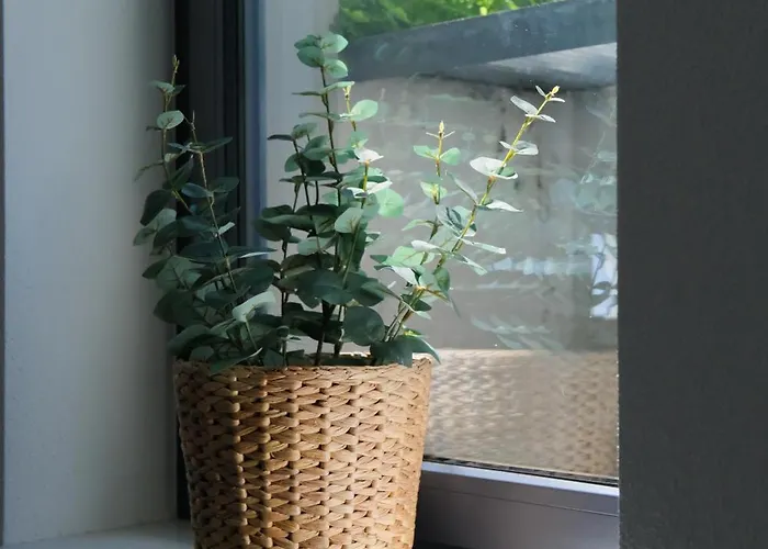 Untergeschoss Mit Stil Modern, Ruhig & Mit Terrasse * Stutensee